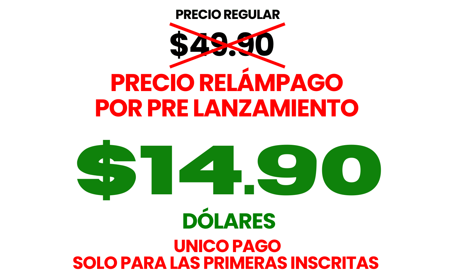 Precio relámpago por pre lanzamiento: $9.90 dólares. Único pago para las primeras inscritas.